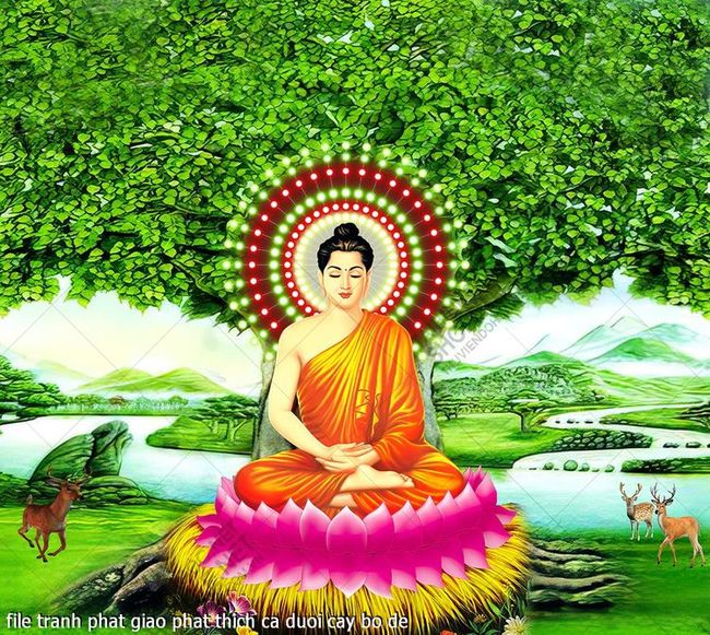 file tranh phat giao phat thich ca duoi cay bo de